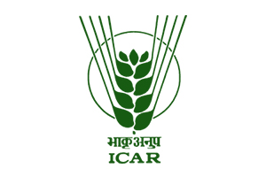 icar logo